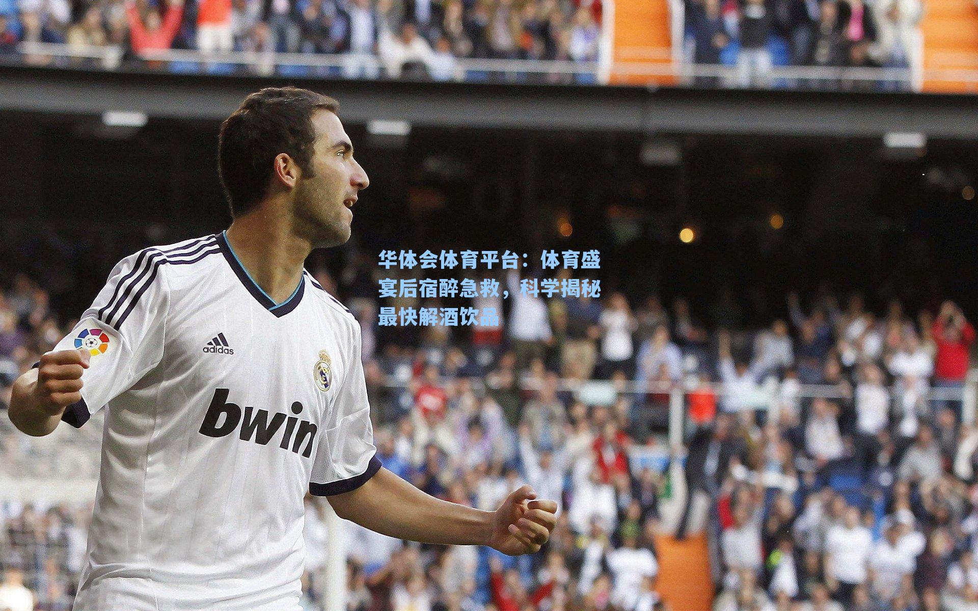 体育盛宴后宿醉急救,科学揭秘最快解酒饮品