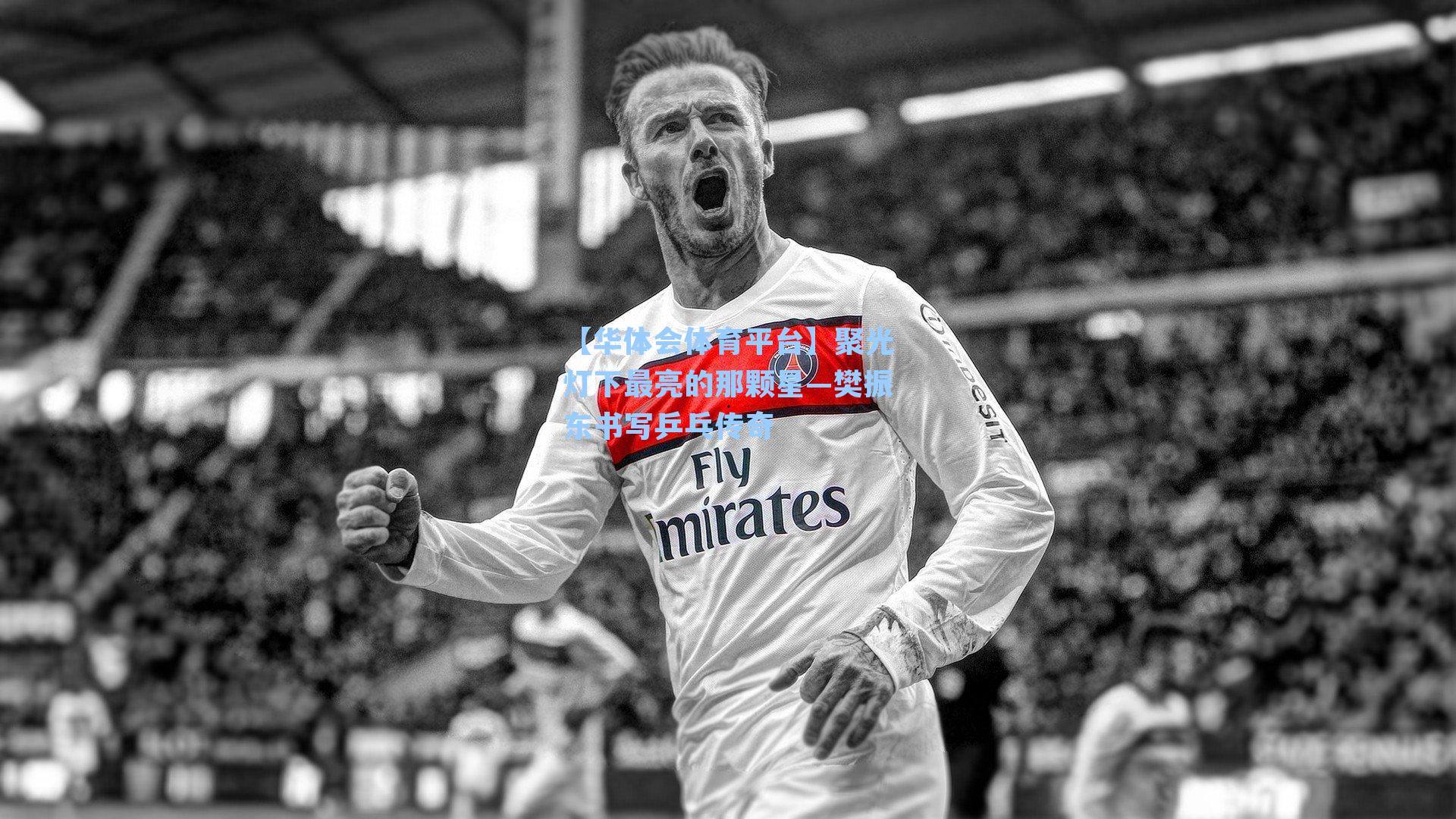 【华体会体育平台】聚光灯下最亮的那颗星—樊振东书写乒乓传奇